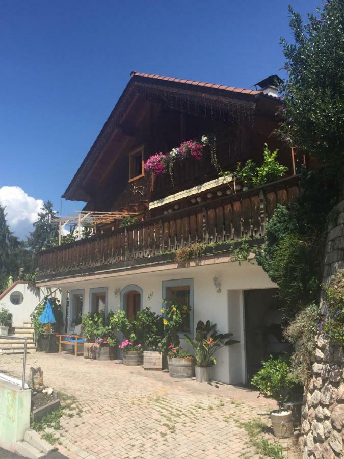 Apartment Helga Zell am Ziller Kültér fotó