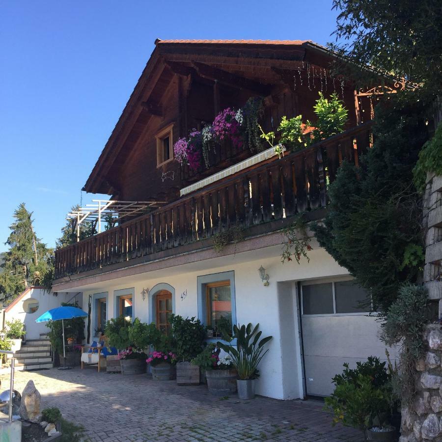 Apartment Helga Zell am Ziller Kültér fotó